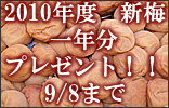 梅干し,梅,青梅,梅肉エキス,紀州南高梅干通販専門店 - 深見梅店 -